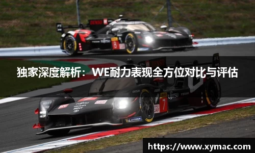 独家深度解析：WE耐力表现全方位对比与评估