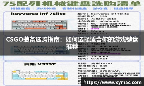 CSGO装备选购指南：如何选择适合你的游戏键盘推荐