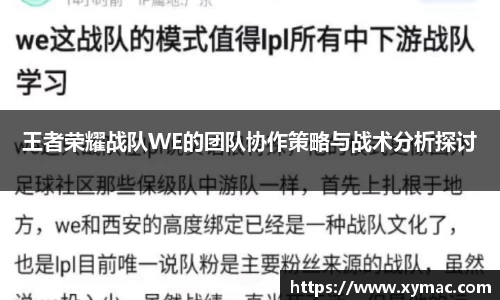 王者荣耀战队WE的团队协作策略与战术分析探讨