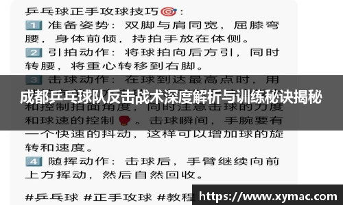 成都乒乓球队反击战术深度解析与训练秘诀揭秘