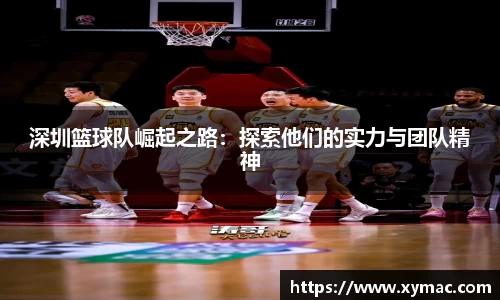 深圳篮球队崛起之路：探索他们的实力与团队精神