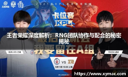 王者荣耀深度解析：RNG团队协作与配合的秘密揭秘