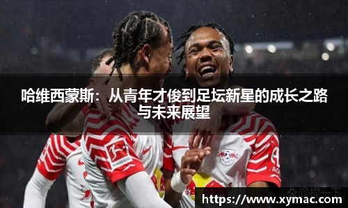 凤凰联盟平台注册