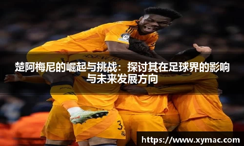 凤凰信誉联盟官方网站