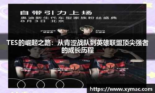 TES的崛起之路：从青涩战队到英雄联盟顶尖强者的成长历程
